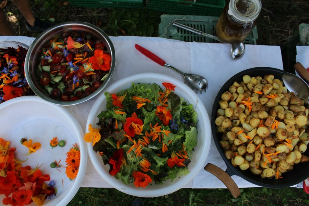 Event's image: Vegetarian Brunch at the Farm