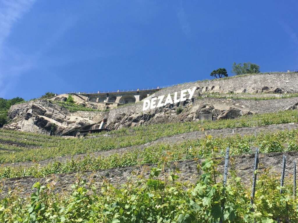 Image de l'événement :: La Baronnie du Dezaley, du pain et du fromage
