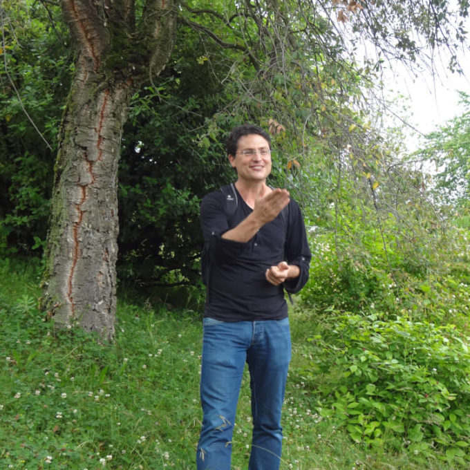 Balades du Goût