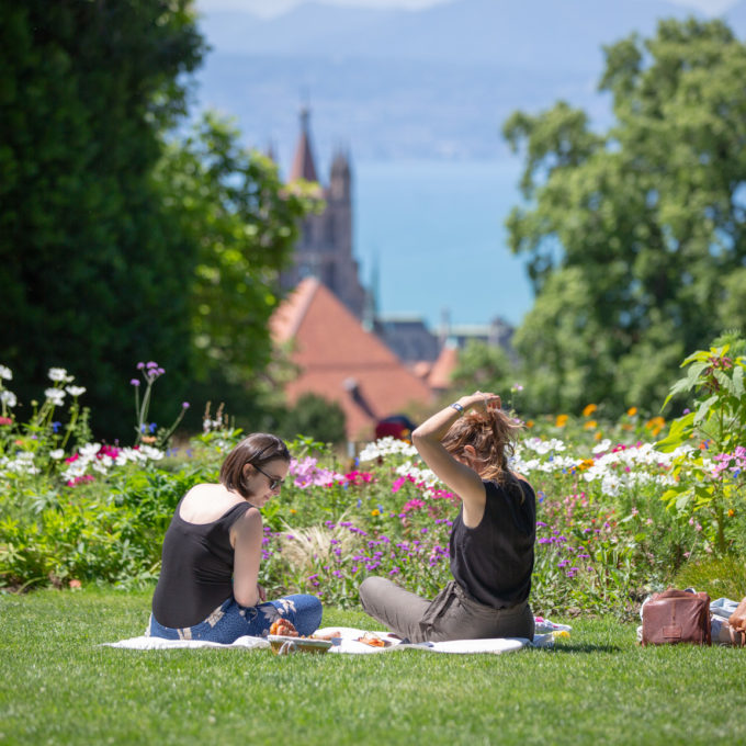 Déjeuner sur l’herbe