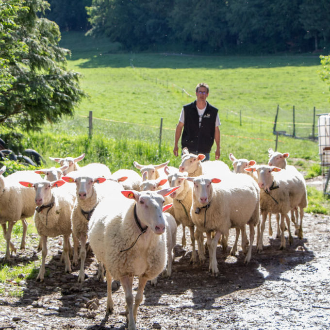 Visites à la ferme