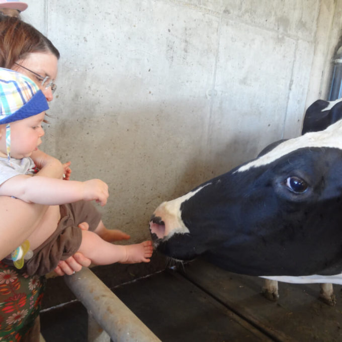 Les Visites à la Ferme
