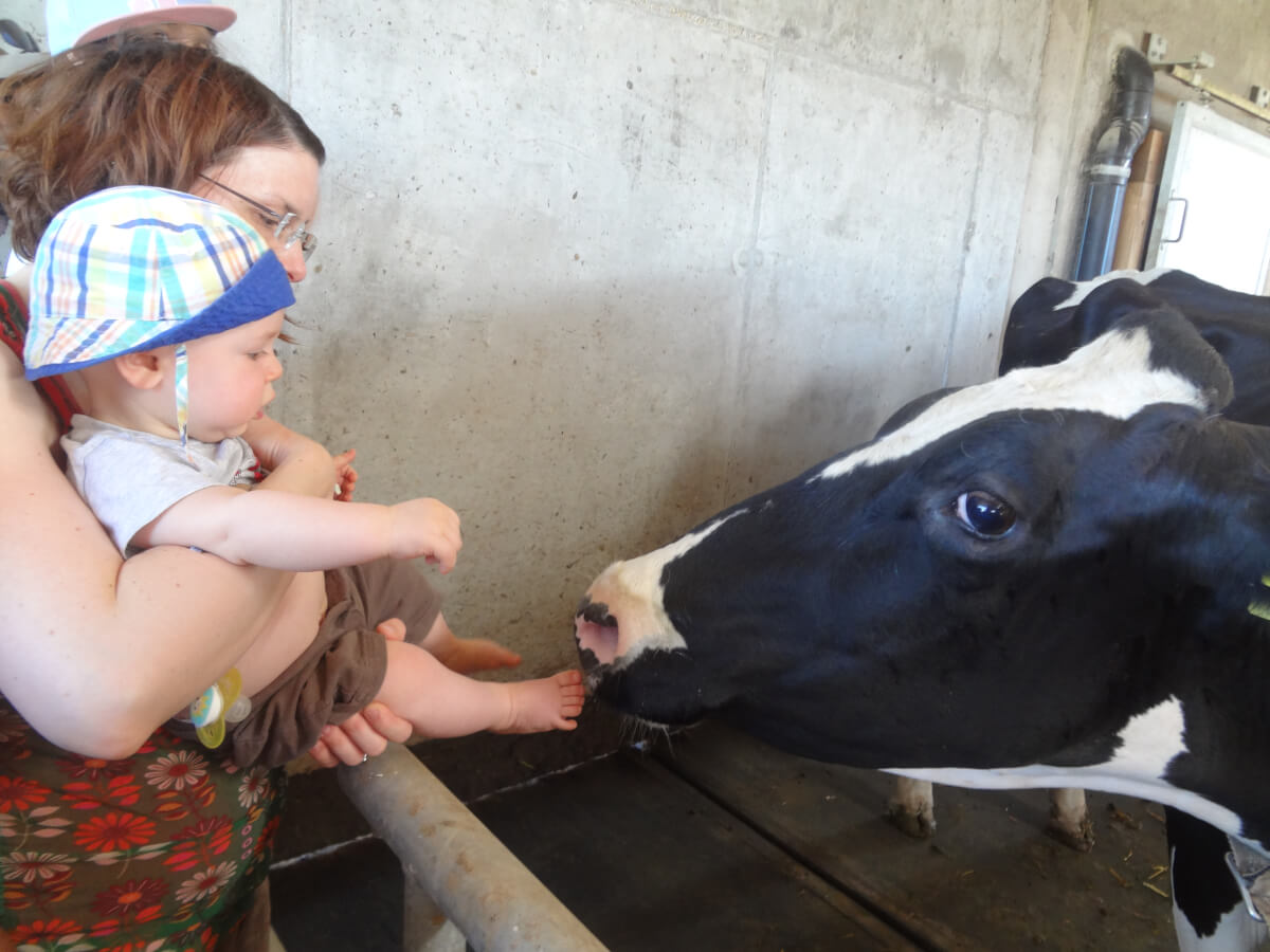 Visites à la Ferme photo #1