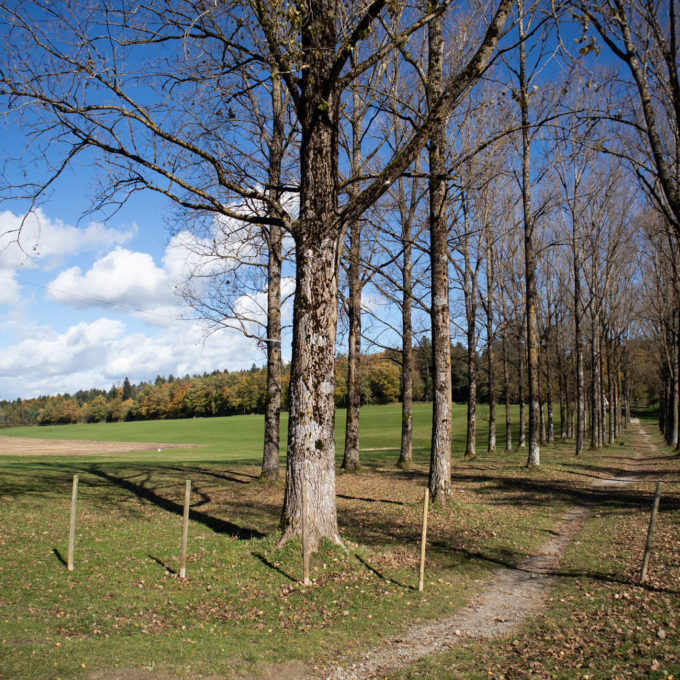 Ateliers champignons 2021 photo #13