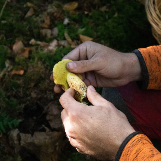 Ateliers champignons 2021 photo #17