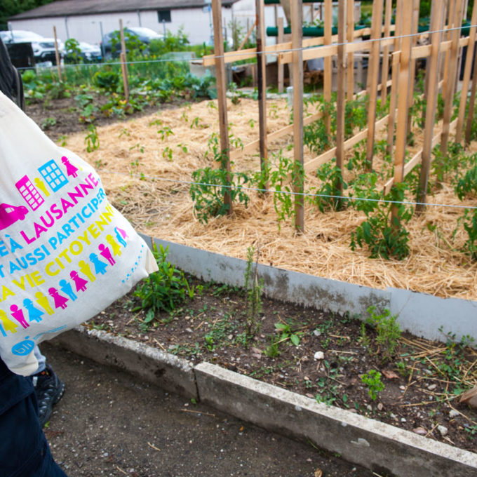 Balades des 4 coins du monde et des jardins potagers 2021 photo #16