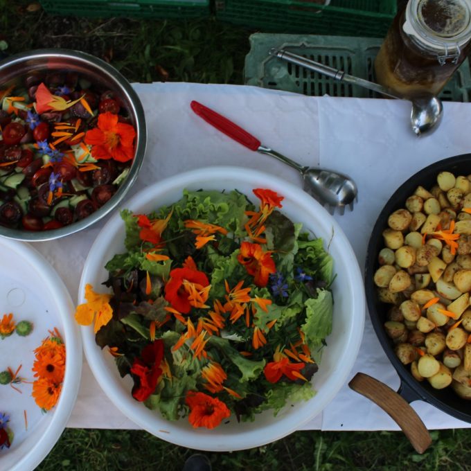 Brunch bio et végétarien à la Ferme Rovéréaz 2021 photo #12