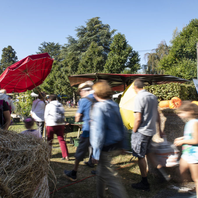 Marché d’automne ProSpecieRara 2018 photo #2