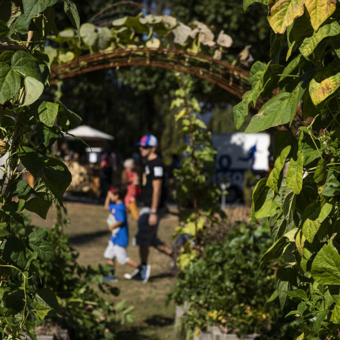 Marché d’automne ProSpecieRara 2018 photo #13