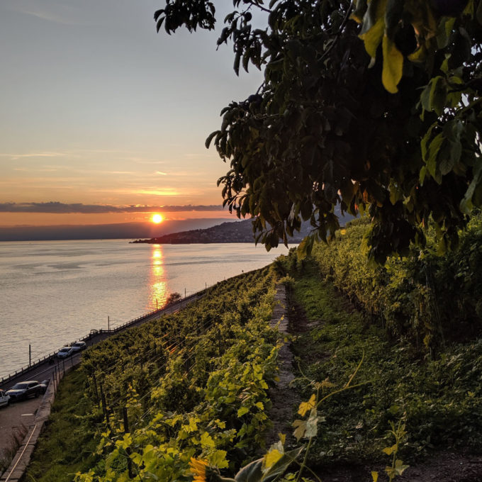 Vins et mets d'exception dans le Dézaley 2019 photo #7