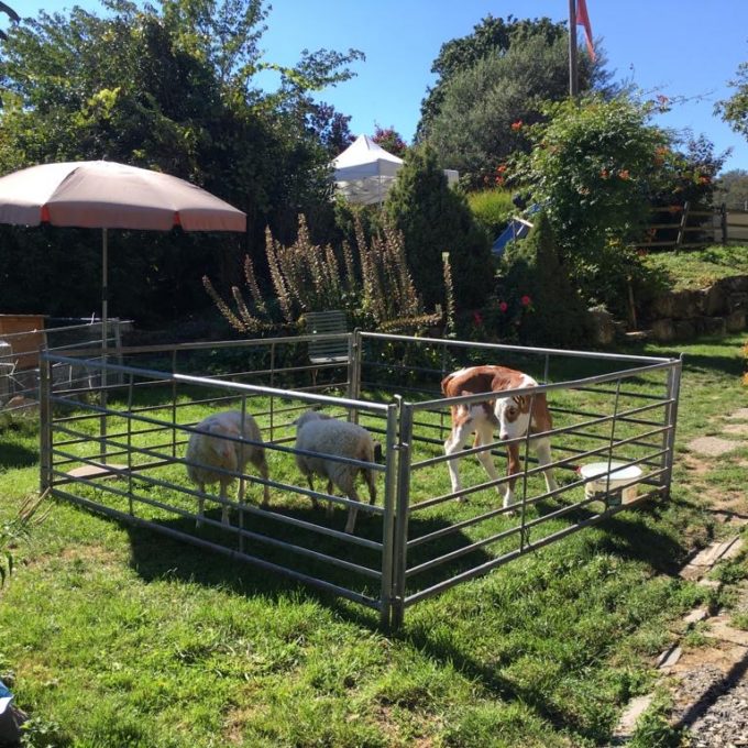 Visite à la ferme de Praz-Romond  photo #4