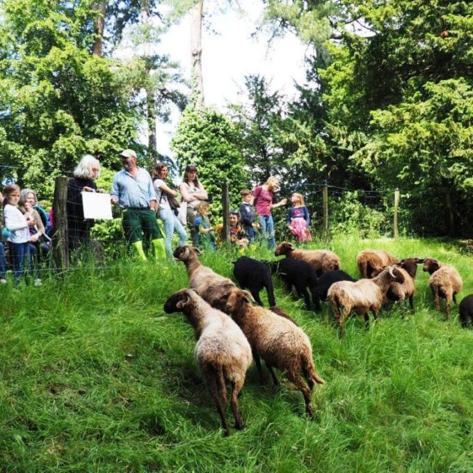 Visites à la Ferme 2016 photo #20