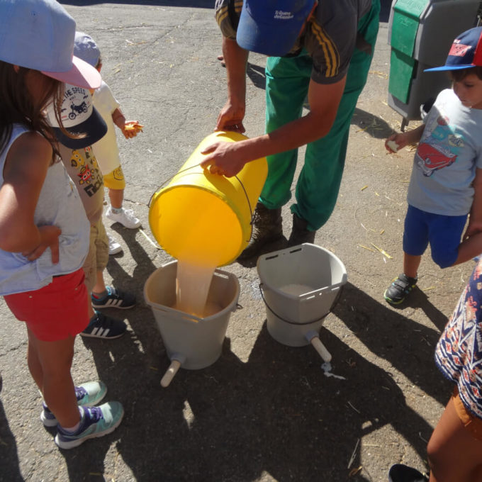 Visites à la Ferme 2016 photo #33