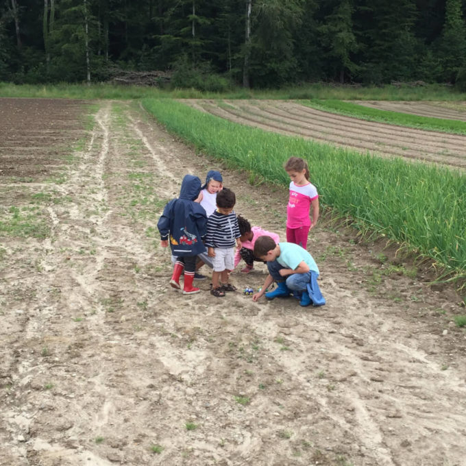 Visites à la Ferme 2016 photo #38