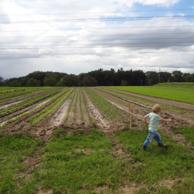 Visites à la Ferme 2016 photo #41