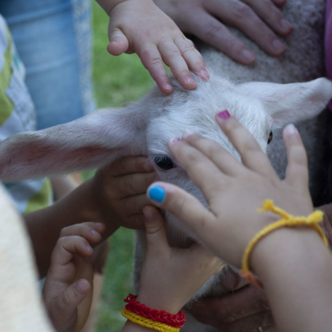 Visites à la Ferme 2018 photo #3