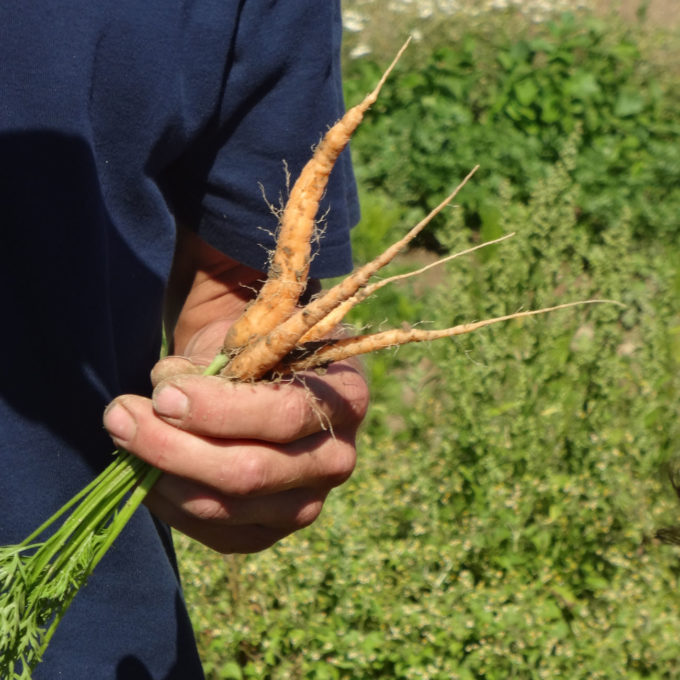 Visites à la Ferme 2018 photo #5