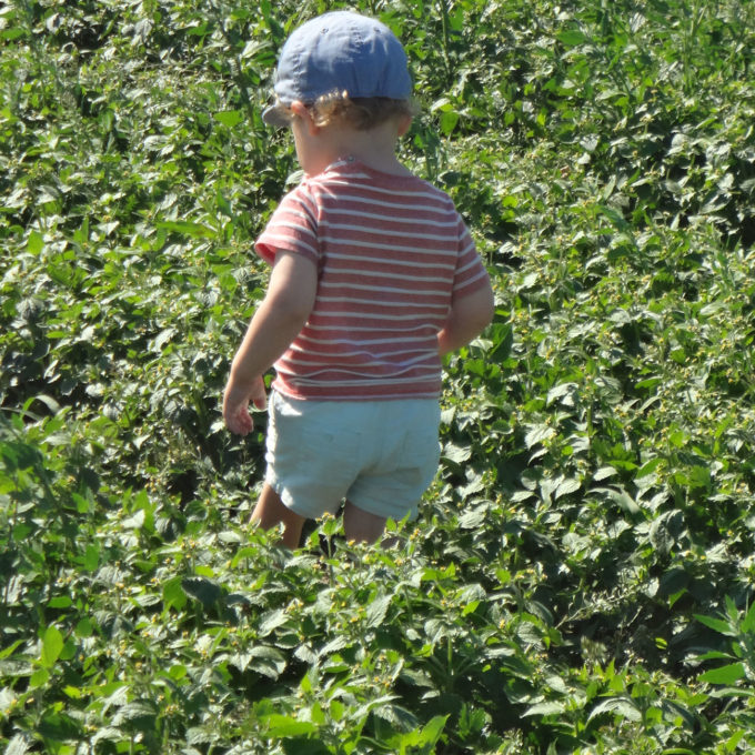 Visites à la Ferme 2018 2018 photo #7