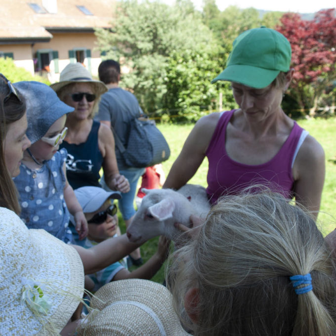 Visites à la Ferme 2018 2018 photo #12