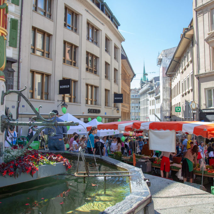 Visites du marché 2018 photo #16