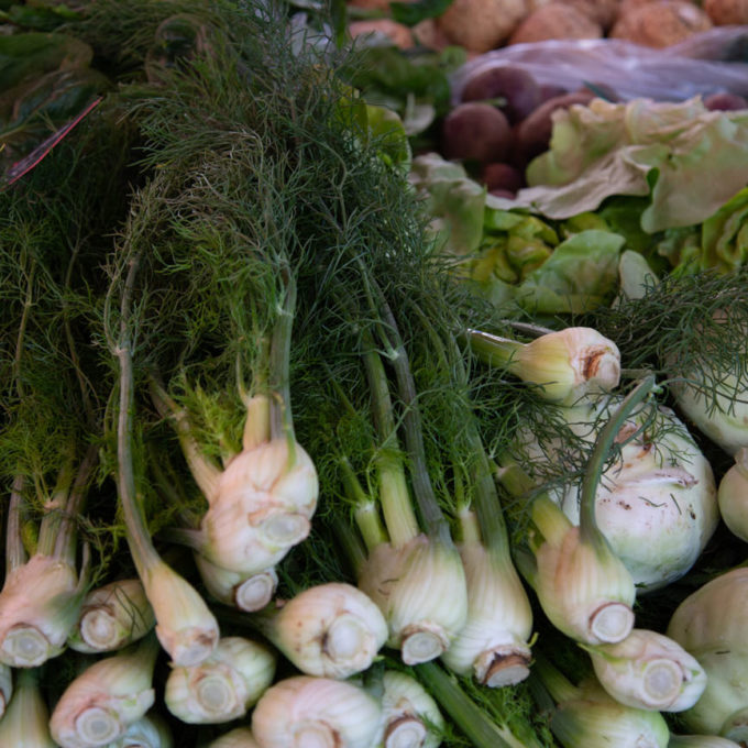 Visites du marché 2018 photo #18