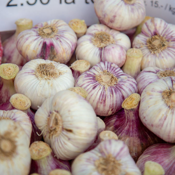 Visites du marché 2018 photo #29