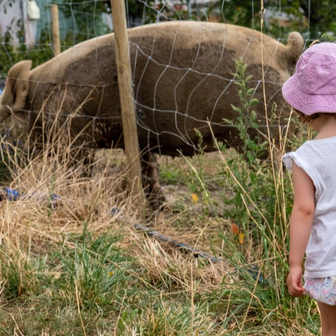 Les visites à la Ferme – Les Jardins de Chivrageon