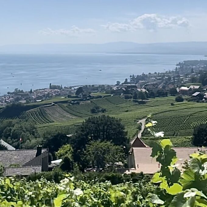 Le Chasselas de la vigne à l’assiette !