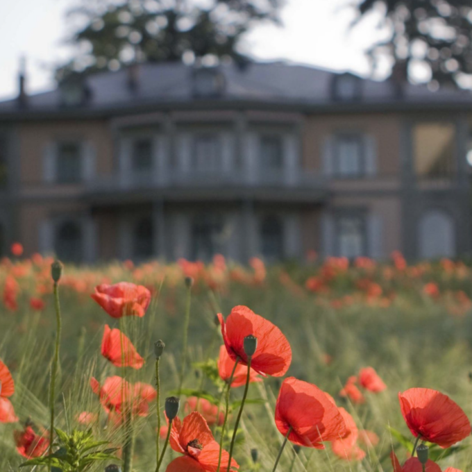 Photo : Fondation de l’Hermitage : Route du Signal 2,
 1018 Lausanne