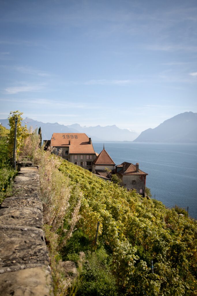 Event's image: Tasting in the heart of the Clos des Abbayes