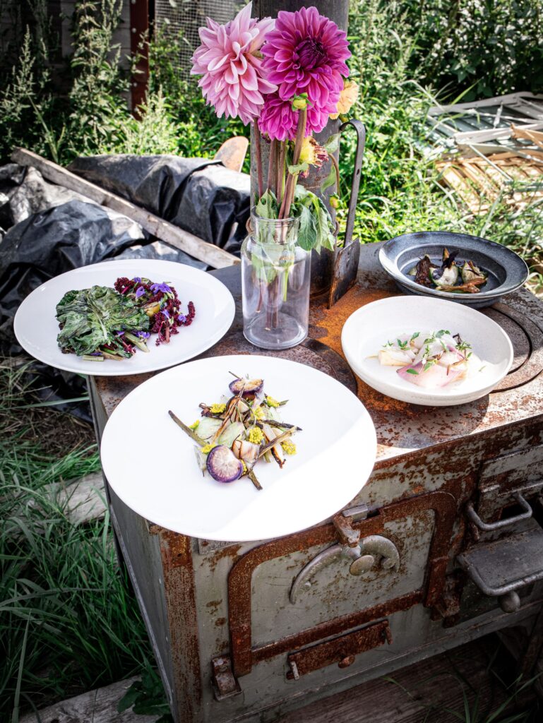 Event's image: Vegetable Festival at the Jardins de Chivrageon