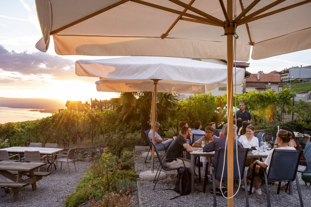 Image de l'événement :: À la Table du Vigneron