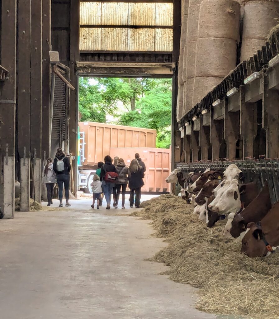 Image de l'événement :: Les Visites à la Ferme