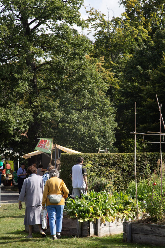 Image de l'événement :: Le Marché d’été 
