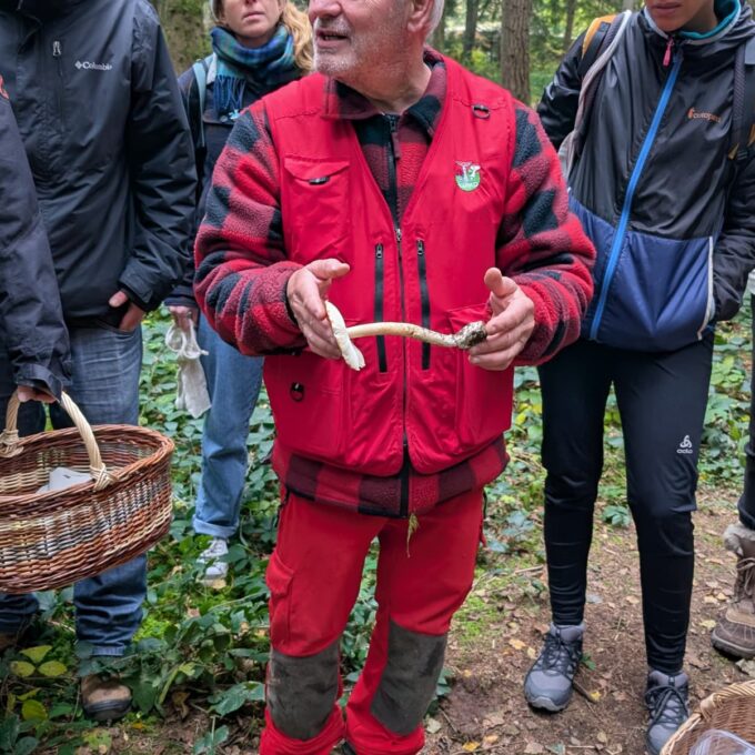 Atelier Champignons