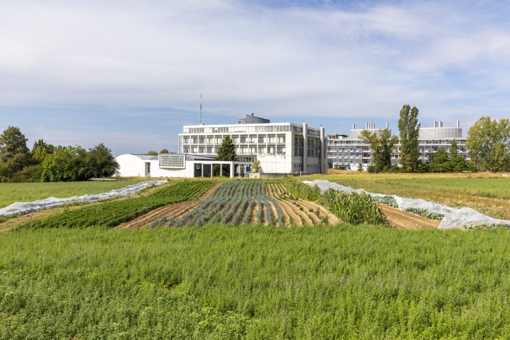 Image de l'événement :: Marché gourmand & balade guidée à l’Unil
