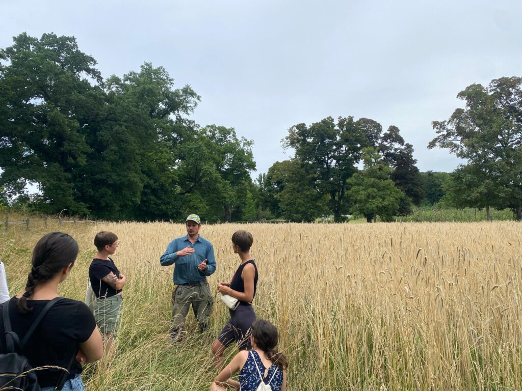 Image de l'événement :: Les Visites à la Ferme