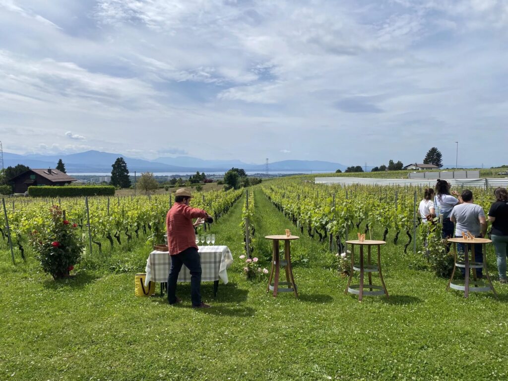 Image de l'événement :: Les Pépites des Vignes